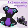 imagerabbitgoo Dog Harness NoPull Pet Harness with 2 Leash Clips Adjustable Soft Padded Dog Vest Reflective NoChoke Pet Oxford Vest with Easy Control Handle for Large Dogs Purple LPurple