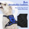 imagerabbitgoo Dog Harness NoPull Pet Harness with 2 Leash Clips Adjustable Soft Padded Dog Vest Reflective NoChoke Pet Oxford Vest with Easy Control Handle for Large Dogs Purple LDazzling Blue