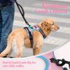 imagerabbitgoo Dog Harness NoPull Pet Harness with 2 Leash Clips Adjustable Soft Padded Dog Vest Reflective NoChoke Pet Oxford Vest with Easy Control Handle for Large Dogs Purple LPink  Blue