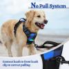 imagerabbitgoo Dog Harness NoPull Pet Harness with 2 Leash Clips Adjustable Soft Padded Dog Vest Reflective NoChoke Pet Oxford Vest with Easy Control Handle for Large Dogs Purple LCheckered Blue
