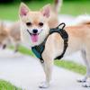 imagerabbitgoo Dog Harness NoPull Pet Harness with 2 Leash Clips Adjustable Soft Padded Dog Vest Reflective NoChoke Pet Oxford Vest with Easy Control Handle for Large Dogs Purple LBlue Coral