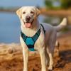 imagerabbitgoo Dog Harness NoPull Pet Harness with 2 Leash Clips Adjustable Soft Padded Dog Vest Reflective NoChoke Pet Oxford Vest with Easy Control Handle for Large Dogs Purple LTeal