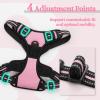 imagerabbitgoo Dog Harness NoPull Pet Harness with 2 Leash Clips Adjustable Soft Padded Dog Vest Reflective NoChoke Pet Oxford Vest with Easy Control Handle for Large Dogs Purple LPink