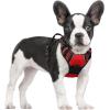 imagerabbitgoo Dog Harness NoPull Pet Harness with 2 Leash Clips Adjustable Soft Padded Dog Vest Reflective NoChoke Pet Oxford Vest with Easy Control Handle for Large Dogs Purple LRed