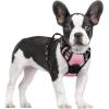 imagerabbitgoo Dog Harness NoPull Pet Harness with 2 Leash Clips Adjustable Soft Padded Dog Vest Reflective NoChoke Pet Oxford Vest with Easy Control Handle for Large Dogs Purple LPink