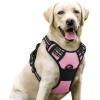 imagerabbitgoo Dog Harness NoPull Pet Harness with 2 Leash Clips Adjustable Soft Padded Dog Vest Reflective NoChoke Pet Oxford Vest with Easy Control Handle for Large Dogs Purple LPink