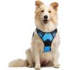 imagerabbitgoo Dog Harness NoPull Pet Harness with 2 Leash Clips Adjustable Soft Padded Dog Vest Reflective NoChoke Pet Oxford Vest with Easy Control Handle for Large Dogs Purple LBlue