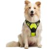 imagerabbitgoo Dog Harness NoPull Pet Harness with 2 Leash Clips Adjustable Soft Padded Dog Vest Reflective NoChoke Pet Oxford Vest with Easy Control Handle for Large Dogs Purple LWild Lime