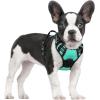 imagerabbitgoo Dog Harness NoPull Pet Harness with 2 Leash Clips Adjustable Soft Padded Dog Vest Reflective NoChoke Pet Oxford Vest with Easy Control Handle for Large Dogs Purple LTurquoise