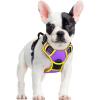 imagerabbitgoo Dog Harness NoPull Pet Harness with 2 Leash Clips Adjustable Soft Padded Dog Vest Reflective NoChoke Pet Oxford Vest with Easy Control Handle for Large Dogs Purple LPurple  Yellow