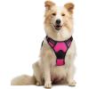 imagerabbitgoo Dog Harness NoPull Pet Harness with 2 Leash Clips Adjustable Soft Padded Dog Vest Reflective NoChoke Pet Oxford Vest with Easy Control Handle for Large Dogs Purple LHot Pink