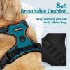 imagerabbitgoo Dog Harness NoPull Pet Harness with 2 Leash Clips Adjustable Soft Padded Dog Vest Reflective NoChoke Pet Oxford Vest with Easy Control Handle for Large Dogs Purple LBlue Coral