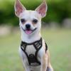 imagerabbitgoo Dog Harness NoPull Pet Harness with 2 Leash Clips Adjustable Soft Padded Dog Vest Reflective NoChoke Pet Oxford Vest with Easy Control Handle for Large Dogs Purple LGray