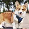 imagerabbitgoo Dog Harness NoPull Pet Harness with 2 Leash Clips Adjustable Soft Padded Dog Vest Reflective NoChoke Pet Oxford Vest with Easy Control Handle for Large Dogs Purple LCheckered Blue