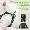 imagerabbitgoo Dog Harness NoPull Pet Harness with 2 Leash Clips Adjustable Soft Padded Dog Vest Reflective NoChoke Pet Oxford Vest with Easy Control Handle for Large Dogs Purple LWild Lime