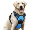 imagerabbitgoo Dog Harness NoPull Pet Harness with 2 Leash Clips Adjustable Soft Padded Dog Vest Reflective NoChoke Pet Oxford Vest with Easy Control Handle for Large Dogs Purple LBlue