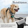 imagerabbitgoo Dog Harness NoPull Pet Harness with 2 Leash Clips Adjustable Soft Padded Dog Vest Reflective NoChoke Pet Oxford Vest with Easy Control Handle for Large Dogs Purple LGray