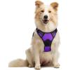 imagerabbitgoo Dog Harness NoPull Pet Harness with 2 Leash Clips Adjustable Soft Padded Dog Vest Reflective NoChoke Pet Oxford Vest with Easy Control Handle for Large Dogs Purple LPurple