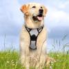 imagerabbitgoo Dog Harness NoPull Pet Harness with 2 Leash Clips Adjustable Soft Padded Dog Vest Reflective NoChoke Pet Oxford Vest with Easy Control Handle for Large Dogs Purple LGray