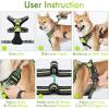 imagerabbitgoo Dog Harness NoPull Pet Harness with 2 Leash Clips Adjustable Soft Padded Dog Vest Reflective NoChoke Pet Oxford Vest with Easy Control Handle for Large Dogs Purple LWild Lime