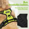 imagerabbitgoo Dog Harness NoPull Pet Harness with 2 Leash Clips Adjustable Soft Padded Dog Vest Reflective NoChoke Pet Oxford Vest with Easy Control Handle for Large Dogs Purple LWild Lime