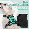imagerabbitgoo Dog Harness NoPull Pet Harness with 2 Leash Clips Adjustable Soft Padded Dog Vest Reflective NoChoke Pet Oxford Vest with Easy Control Handle for Large Dogs Purple LTurquoise