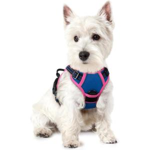 imagerabbitgoo Dog Harness NoPull Pet Harness with 2 Leash Clips Adjustable Soft Padded Dog Vest Reflective NoChoke Pet Oxford Vest with Easy Control Handle for Large Dogs Purple LBlue  Hot Pink