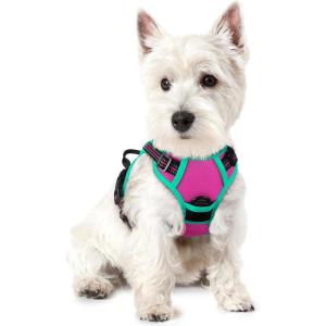 imagerabbitgoo Dog Harness NoPull Pet Harness with 2 Leash Clips Adjustable Soft Padded Dog Vest Reflective NoChoke Pet Oxford Vest with Easy Control Handle for Large Dogs Purple LHot Pink  Turquoise