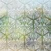 image:imagerabbitgoo Window Privacy Film Stained Glass Window Film Decorative Stickers Removable UV Sun Blocking Clings Door Coverings Diamond Pattern175 x 787 InchesPrism