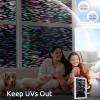 image:imagerabbitgoo Window Privacy Film with Installation Tools Stained Glass Window Film Rainbow Prism Decorative Glass Clings for Home Decor Static Cling Covering Sun Blocking 175 x 787Black Rainbow