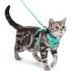 image:imagerabbitgoo Cat Harness and Leash Escape Proof Vest with 3 Adjustable Buckles Soft Comfortable Kitten Harness Easy to Wear Reflective for Safe Outdoor Walking Small GreenGreen