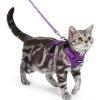 image:imagerabbitgoo Cat Harness and Leash Escape Proof Vest with 3 Adjustable Buckles Soft Comfortable Kitten Harness Easy to Wear Reflective for Safe Outdoor Walking Small GreenPurple