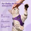 image:imagerabbitgoo Cat Harness and Leash Escape Proof Vest with 3 Adjustable Buckles Soft Comfortable Kitten Harness Easy to Wear Reflective for Safe Outdoor Walking Small GreenPurple