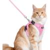 image:imagerabbitgoo Cat Harness and Leash Escape Proof Vest with 3 Adjustable Buckles Soft Comfortable Kitten Harness Easy to Wear Reflective for Safe Outdoor Walking Small GreenPink