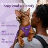 image:imagerabbitgoo Cat Harness and Leash Escape Proof Vest with 3 Adjustable Buckles Soft Comfortable Kitten Harness Easy to Wear Reflective for Safe Outdoor Walking Small GreenPurple