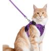 image:imagerabbitgoo Cat Harness and Leash Escape Proof Vest with 3 Adjustable Buckles Soft Comfortable Kitten Harness Easy to Wear Reflective for Safe Outdoor Walking Small GreenPurple