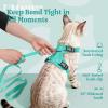 image:imagerabbitgoo Cat Harness and Leash Escape Proof Vest with 3 Adjustable Buckles Soft Comfortable Kitten Harness Easy to Wear Reflective for Safe Outdoor Walking Small GreenGreen