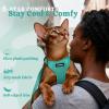 image:imagerabbitgoo Cat Harness and Leash Escape Proof Vest with 3 Adjustable Buckles Soft Comfortable Kitten Harness Easy to Wear Reflective for Safe Outdoor Walking Small GreenGreen
