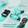 image:imagerabbitgoo Cat Harness and Leash Escape Proof Vest with 3 Adjustable Buckles Soft Comfortable Kitten Harness Easy to Wear Reflective for Safe Outdoor Walking Small GreenGreen