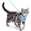 image:imagerabbitgoo Cat Harness and Leash Escape Proof Vest with 3 Adjustable Buckles Soft Comfortable Kitten Harness Easy to Wear Reflective for Safe Outdoor Walking Small GreenSky Blue