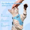 image:imagerabbitgoo Cat Harness and Leash Escape Proof Vest with 3 Adjustable Buckles Soft Comfortable Kitten Harness Easy to Wear Reflective for Safe Outdoor Walking Small GreenSky Blue