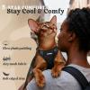 image:imagerabbitgoo Cat Harness and Leash Escape Proof Vest with 3 Adjustable Buckles Soft Comfortable Kitten Harness Easy to Wear Reflective for Safe Outdoor Walking Small GreenBlack