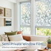 image:imagerabbitgoo One Way Privacy Window Film Window Tint for Home with Tools UV Blocking Heat Control Static Cling No Glue Daytime Privacy See Out Not in 175 Inch X 65 Feet Black SilverCrystal