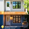 image:imagerabbitgoo One Way Privacy Window Film Window Tint for Home with Tools UV Blocking Heat Control Static Cling No Glue Daytime Privacy See Out Not in 175 Inch X 65 Feet Black SilverBlack Silver