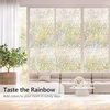 image:imagerabbitgoo Privacy Window Film 3D Rainbow Decorative Glass Clings Window Decals Pebble amp Circle 175 by 787 inches